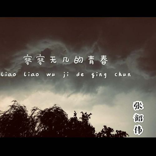 寥寥无几的意思