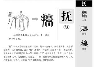 抚的拼音和意思，抚恤的拼音