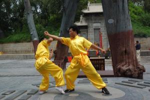 就整体来说八极拳和八卦拳,太极拳三者比起来各有什么区别啊