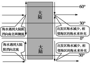 循规蹈矩的拼音，循规怎么读
