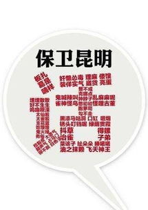 昆明话方言大全，昆明话骂人句子