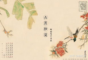 一霎车尘生树杪的杪是什么意思，杪是什么意思和拼音