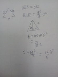 等边三角形面积公式小学，等边三角形面积公式初中