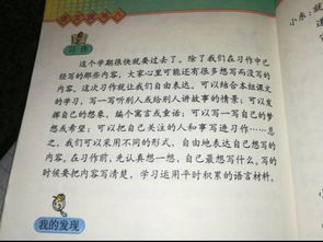 我最敬佩一个人作文400字