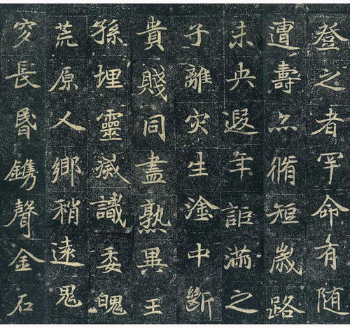 傻的笔顺笔画，倪的笔顺动画演示