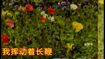 《一路花香》的原文是什么?