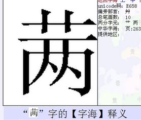 这的结构是什么?