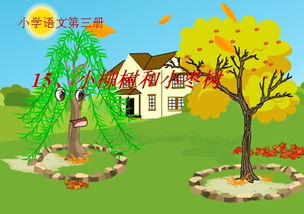 二年级下册小柳树和小枣树读后感，小柳树和小枣树读后感100字
