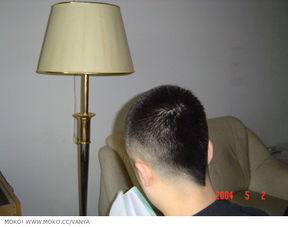 hairdo怎么读，HairDownTHere2D
