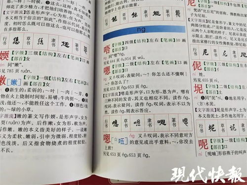 字典这个词的意思?