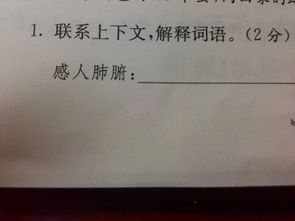 成语感人肺腑的意思，感人肺腑的意思和近义词