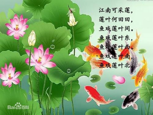 采莲古诗小娃撑小艇，一年级采莲古诗