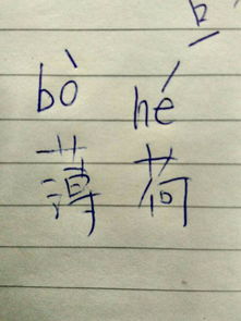 薄饼拼音怎么写，薄荷拼音和声调
