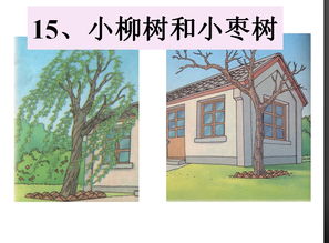 柳树条读后感小学