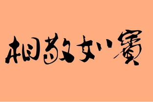 相敬如宾是什么意思?