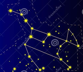 一月份是什么星座呢，一月份是什么星座女生