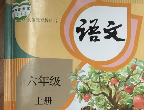 泊的多音字意思，泊的多音字组词和意思