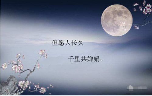 收集描写月亮的诗句有哪些，古朗月行中描写月亮的诗句有哪些