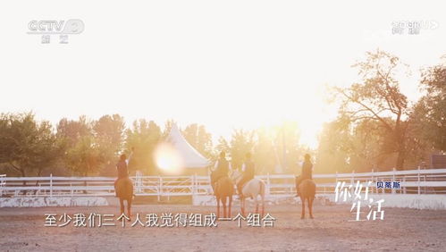感谢生活中的美好