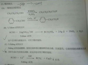 酯基结构式图片，半缩醛基结构式