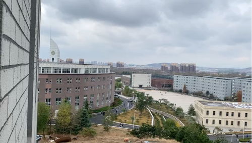 青岛理工大学琴岛学院好不好