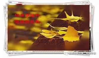 做一片美的叶子 作文