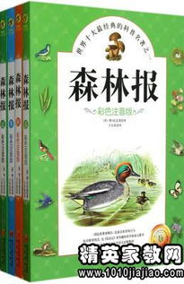 凡卡读后感作文500字，凡卡读后感450字