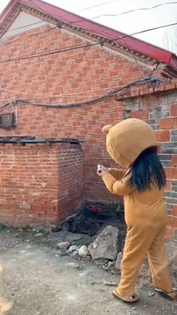茅坑是什么意思，茅坑里的石头