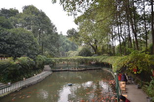 浣花溪公园，浣花溪畔