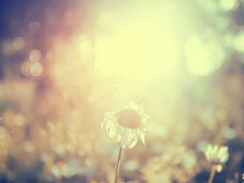 雨脚如麻未断绝前一句，雨脚如麻未断绝修辞手法