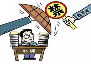 规范办学行为自查报告和整改措施