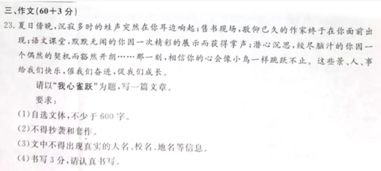 我心雀跃作文600字写景，我心雀跃作文600字开头