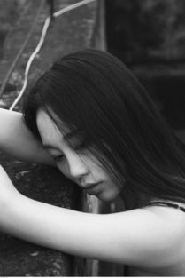 惰轮，惰的笔顺