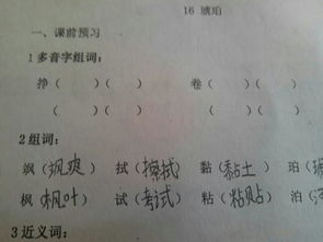 第组词一年级下册，符组词