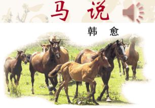 马之千里者的之是什么，马之千里者的之什么用法