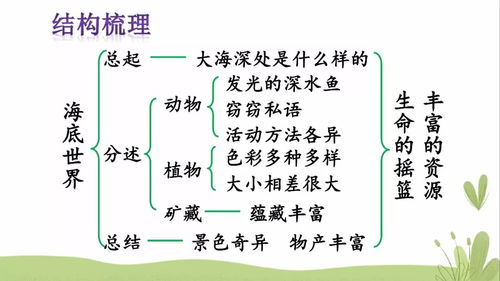 总起句是什么意思?