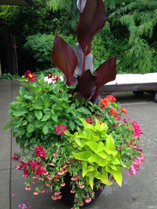 gardening什么意思