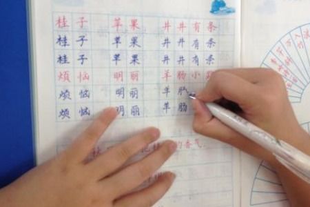 我们造句二年级，让我们让我们让我们造句