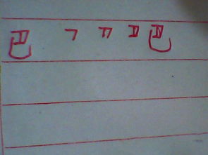 巴笔顺怎么写