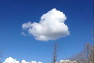 卷云、积云、淡积云、浓积云、碎积云、雨云有什么区别