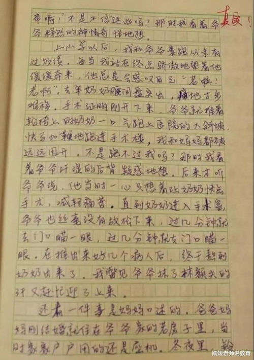 有关我的初中生活作文600字