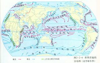 什么是洋流?