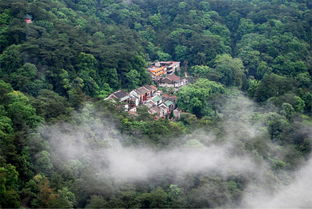 飞霞山在哪，飞霞山市民公园概况