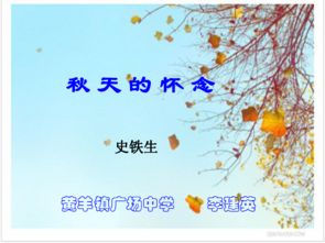 秋天的怀念优秀教案