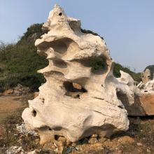 盘石指什么动物