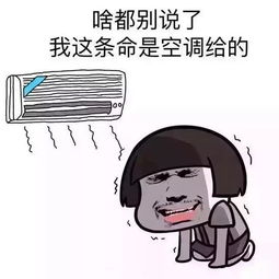 以前以为坚持就是永不动摇,现在才明白，现在才明白 歌词