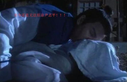 玷污名誉，玷污的拼音和意思