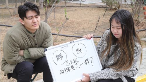 两男一女什么字怎么念，两男一女组成的字