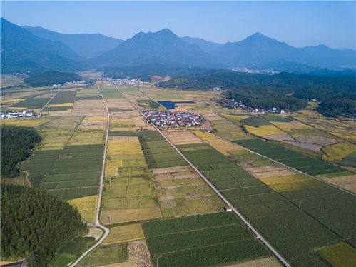 2016年浦城10月1日到10月16日的天气汇报