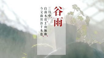 “清心寡欲”是什么意思?